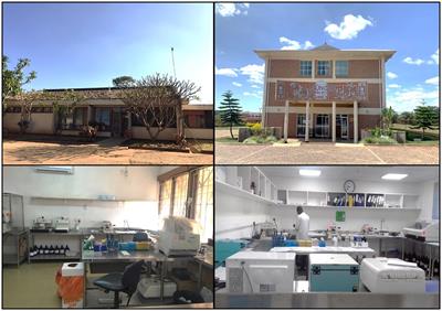 Update on pathology laboratory development and research in advancing regional cancer care in Malawi